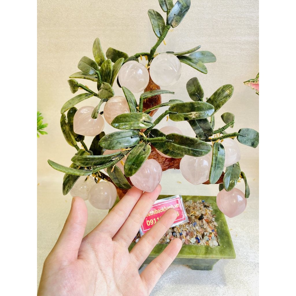  Cây đào đá ngọc 