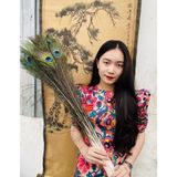  Lông công phong thủy  (bó 30 cành) 