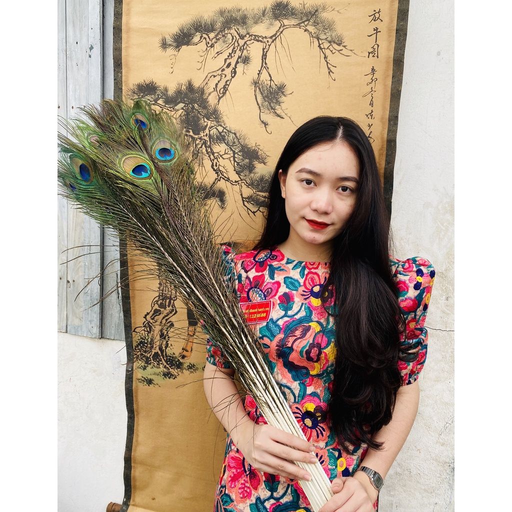  Lông công phong thủy  (bó 30 cành) 