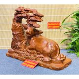  Tượng trâu nằm gốc tùng gỗ hương-Bảo khánh việt nam 40cm 