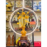  Bình Hoa Sen Cao Cấp 