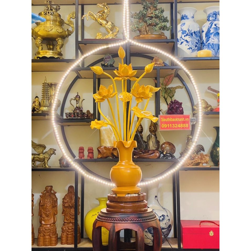  Bình Hoa Sen Cao Cấp 