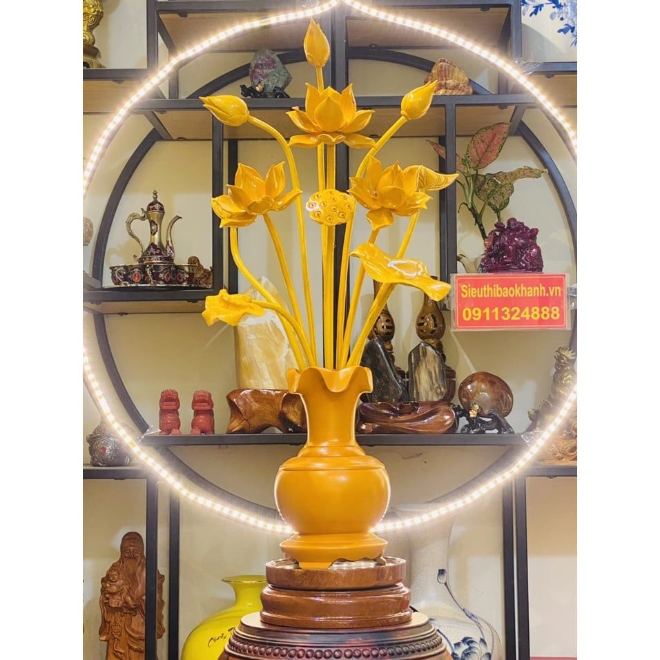  Bình Hoa Sen Cao Cấp 