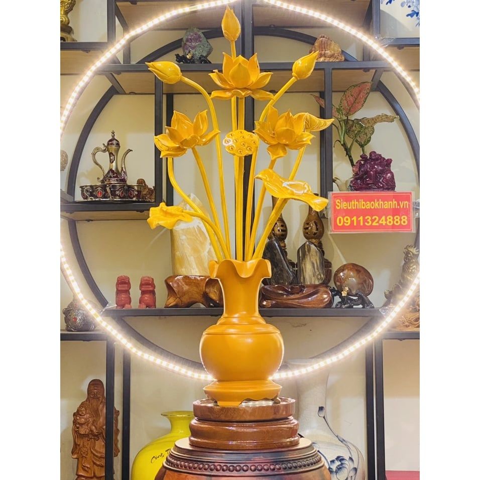  Bình Hoa Sen Cao Cấp 