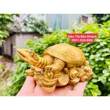  Tượng cụ rùa nằm trên vàng 