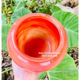  Hũ đựng chè đá ngọc màu đỏ họa tiết chữ 