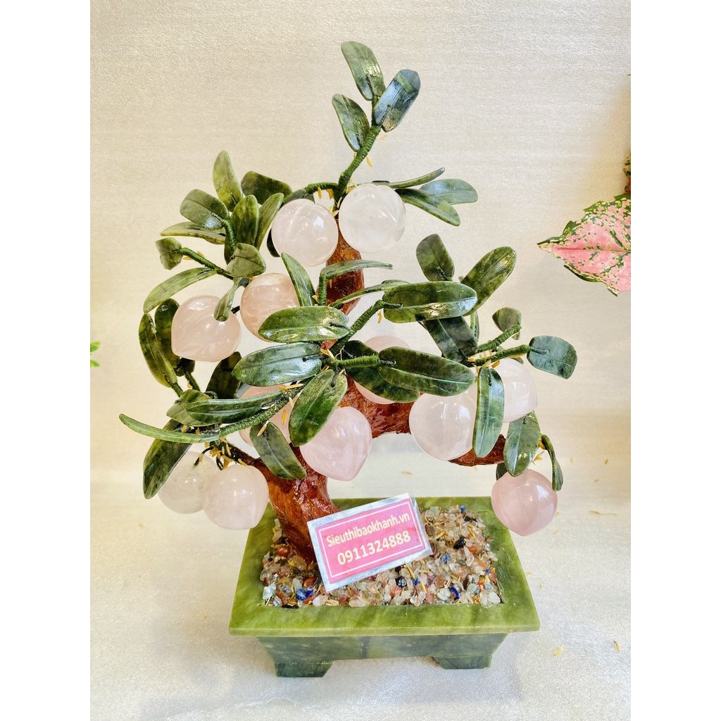  Cây đào đá ngọc 