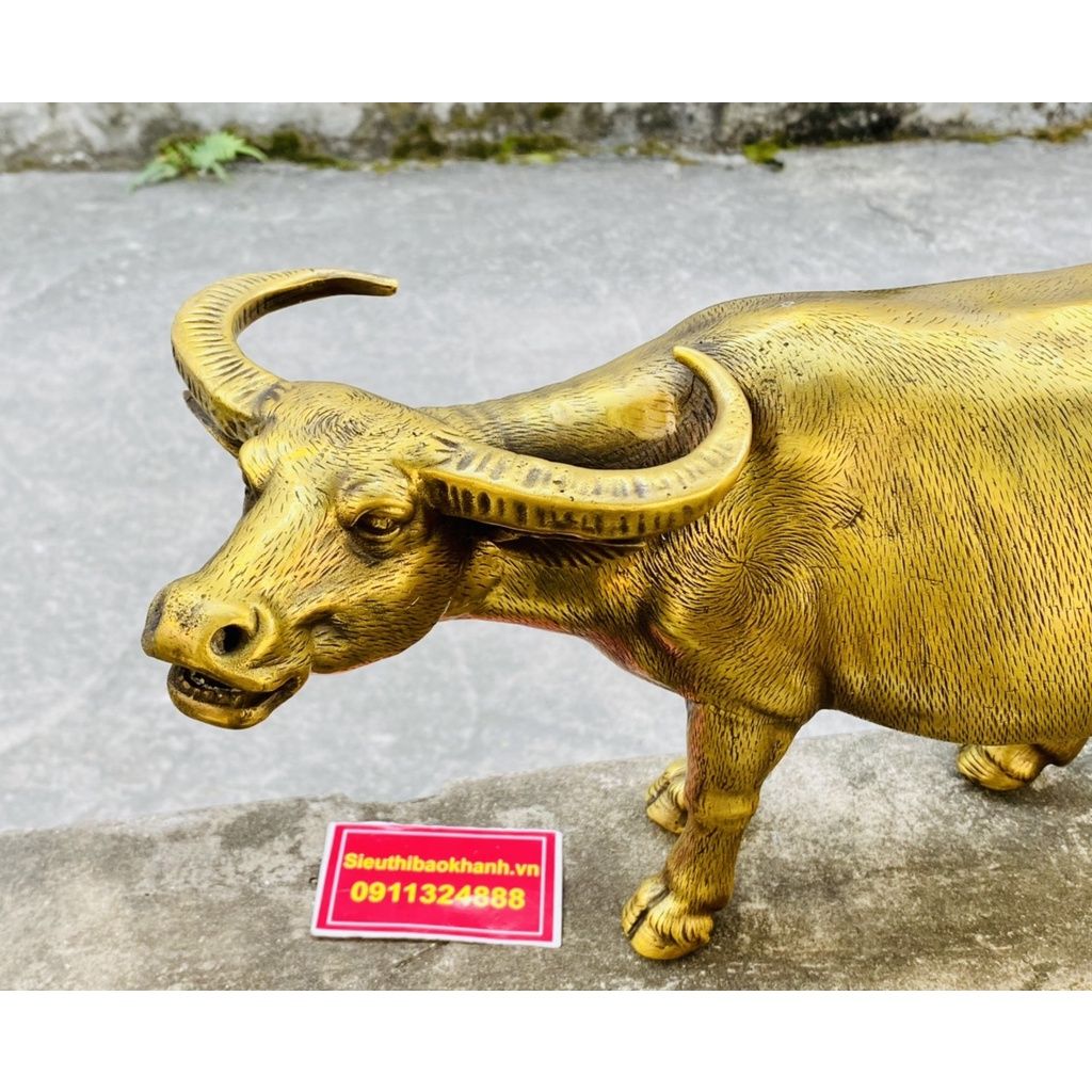  Trâu đồng phong thủy cao cấp 30 cm-mỹ nghệ bảo khánh 