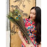  Lông công phong thủy  (bó 30 cành) 