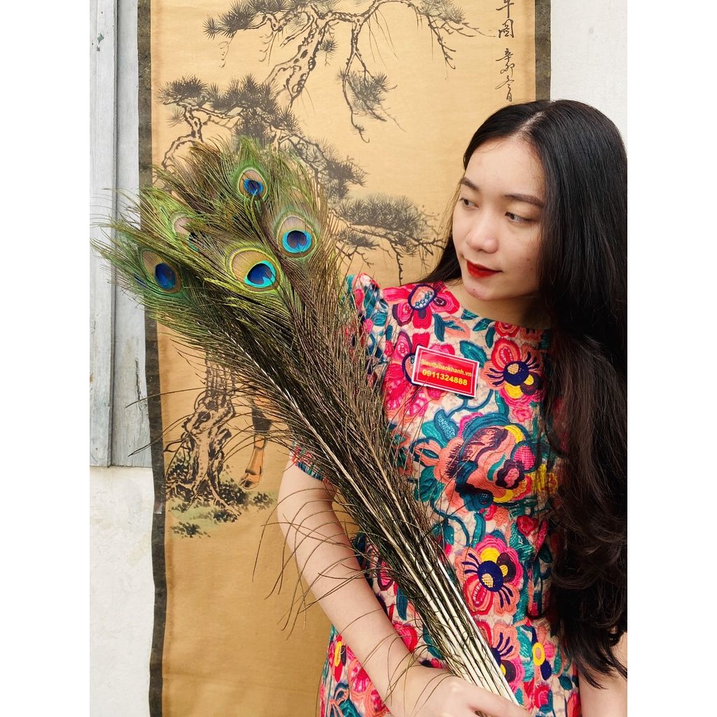  Lông công phong thủy  (bó 30 cành) 