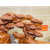  Tượng trâu nằm gốc tùng gỗ hương-Bảo khánh việt nam 40cm 