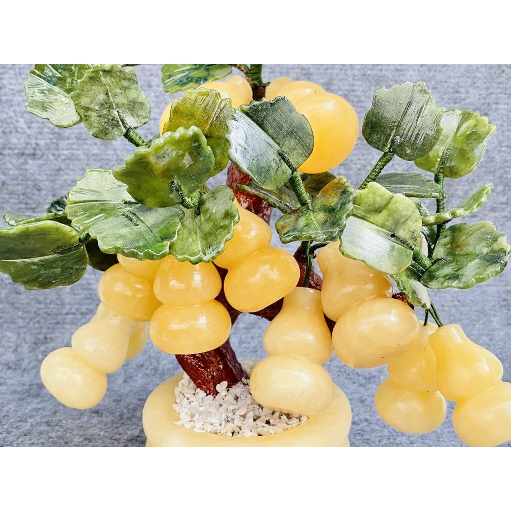  Cây hồ lô đá ngọc 