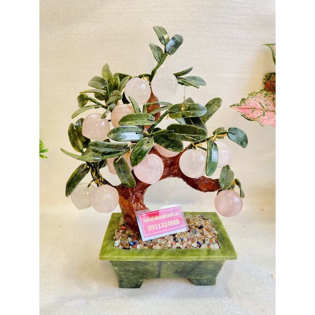 Cây đào đá ngọc 