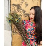  Lông công phong thủy  (bó 30 cành) 