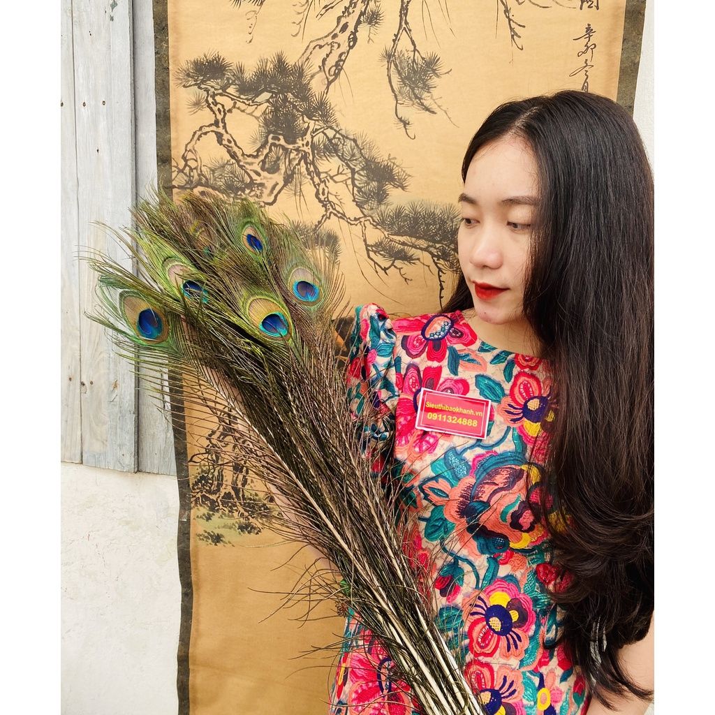  Lông công phong thủy  (bó 30 cành) 