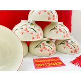  Bộ  10 bát ăn họa tiết hoa sen -Sieu Thi Bao Khanh 
