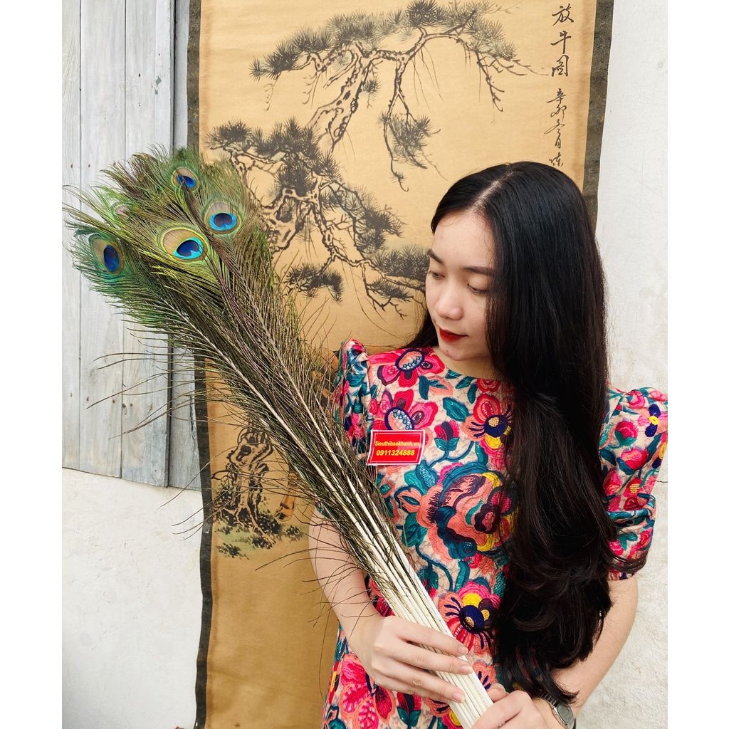  Lông công phong thủy  (bó 30 cành) 