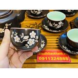  Bộ ấm chén tử sa Hoa Mai chính hãng Bát Tràng 350ml 