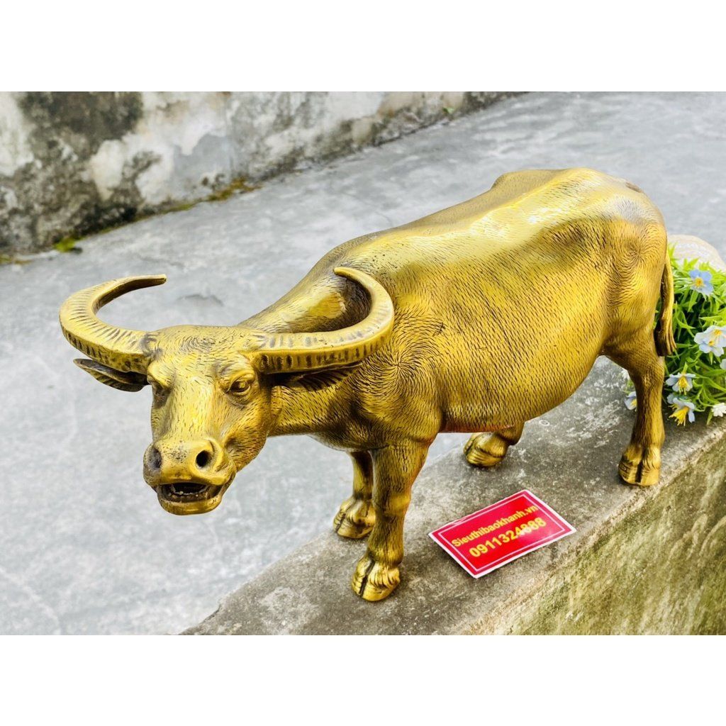  Trâu đồng phong thủy cao cấp 30 cm-mỹ nghệ bảo khánh 