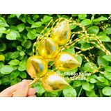  Khay trầu cau chất liệu đồng 