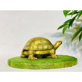  Rùa Đồng Phong Thủy,May Mắn-Bảo Khánh Việt Nam 20cm 