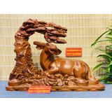  Tượng trâu nằm gốc tùng gỗ hương-Bảo khánh việt nam 40cm 