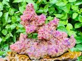  Trụ tinh thể ruby Lục Yên trưng bày phong thủy cực chất 