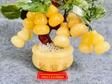  Cây Hồ Lô Tài Lộc 