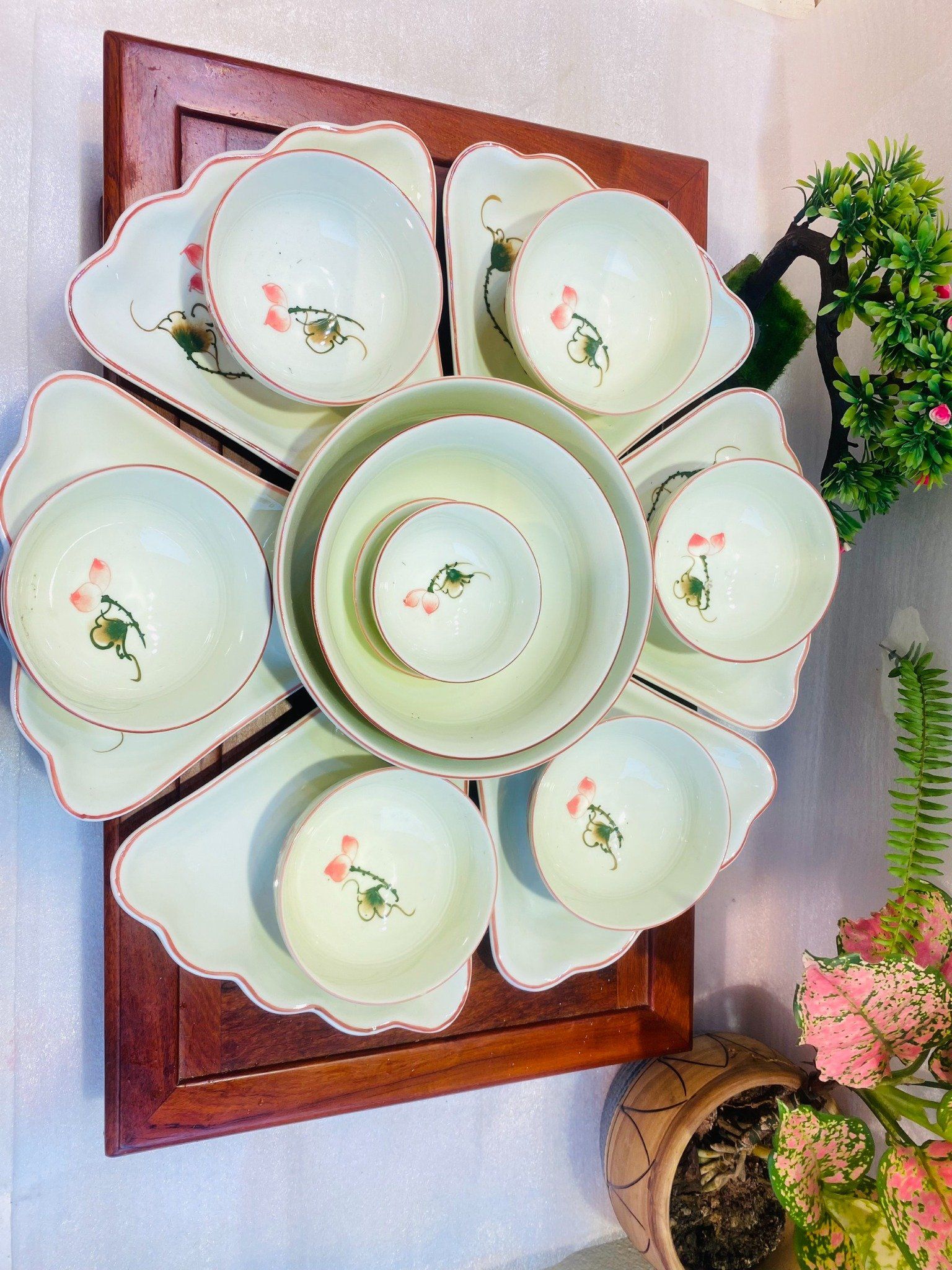  Bộ Bát Hoa Mặt Trời 