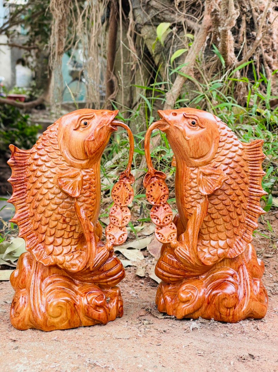  Cặp cá chép kim long Gỗ hương liền khối cao 20cm 