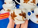  Bộ ấm chén bông sen vẽ vàng 