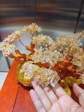  Cây tài lộc thạch anh vàng chữ phúc 