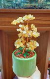  CÂY TÀI LỘC ĐÁ THẠCH ANH VÀNG 25x10CM 