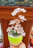  CÂY TÀI LỘC THẠCH ANH, MÃ NÃO 22x9CM 