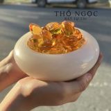  BÁT TỤ TÀI THỐ NGỌC (Có 4 màu) 