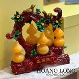  CÂY HỒ LÔ PHONG THUỶ 
