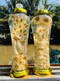  BÌNH CHẠM KHẮC LONG PHỤNG 7 LÍT 