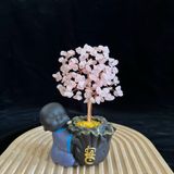  CÂY TÀI LỘC ĐÁ THẠCH ANH MẪU CHÚ TIỂU CAO 18CM 