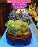  THIỀM THỪ NGỌC ONYX XANH 