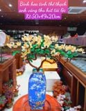  BÌNH TÀI LỘC HOA MẦM TINH THỂ THẠCH ÁNH VÀNG 