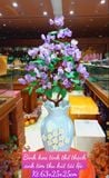  BÌNH TÀI LỘC MẦM TINH THỂ THẠCH ÁNH TÍM 