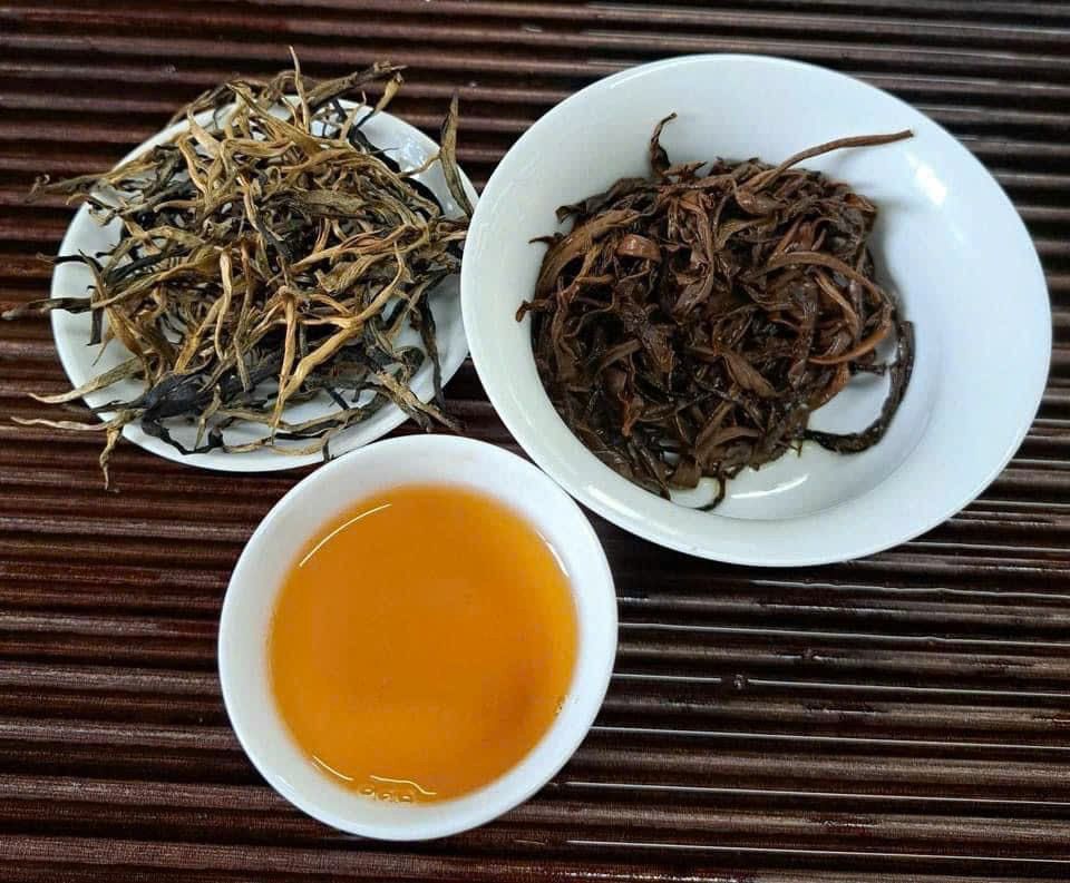  HỒNG TRÀ SHAN TUYẾT CỔ THỤ HÀ GIANG 