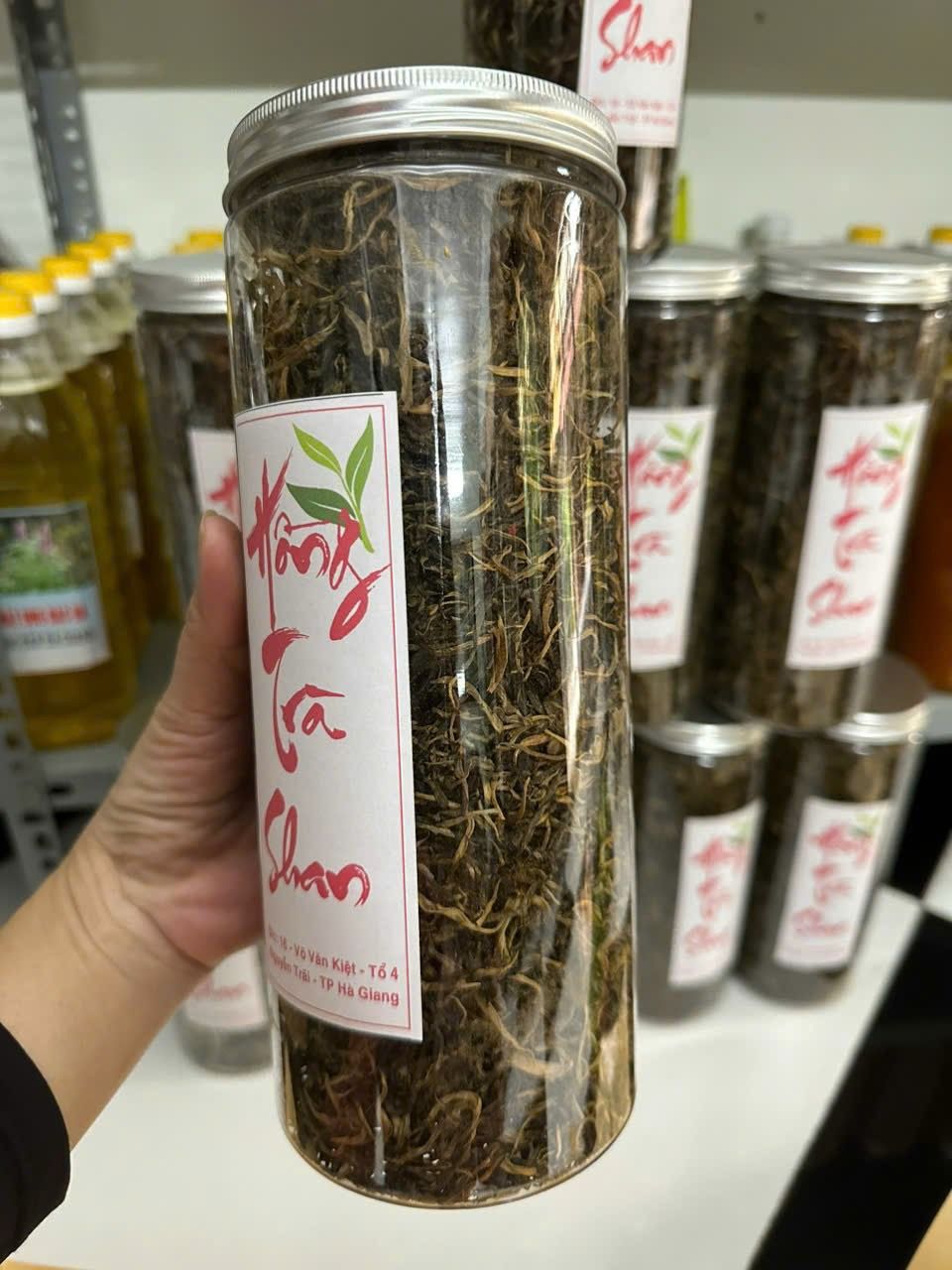  HỒNG TRÀ SHAN TUYẾT CỔ THỤ HÀ GIANG 