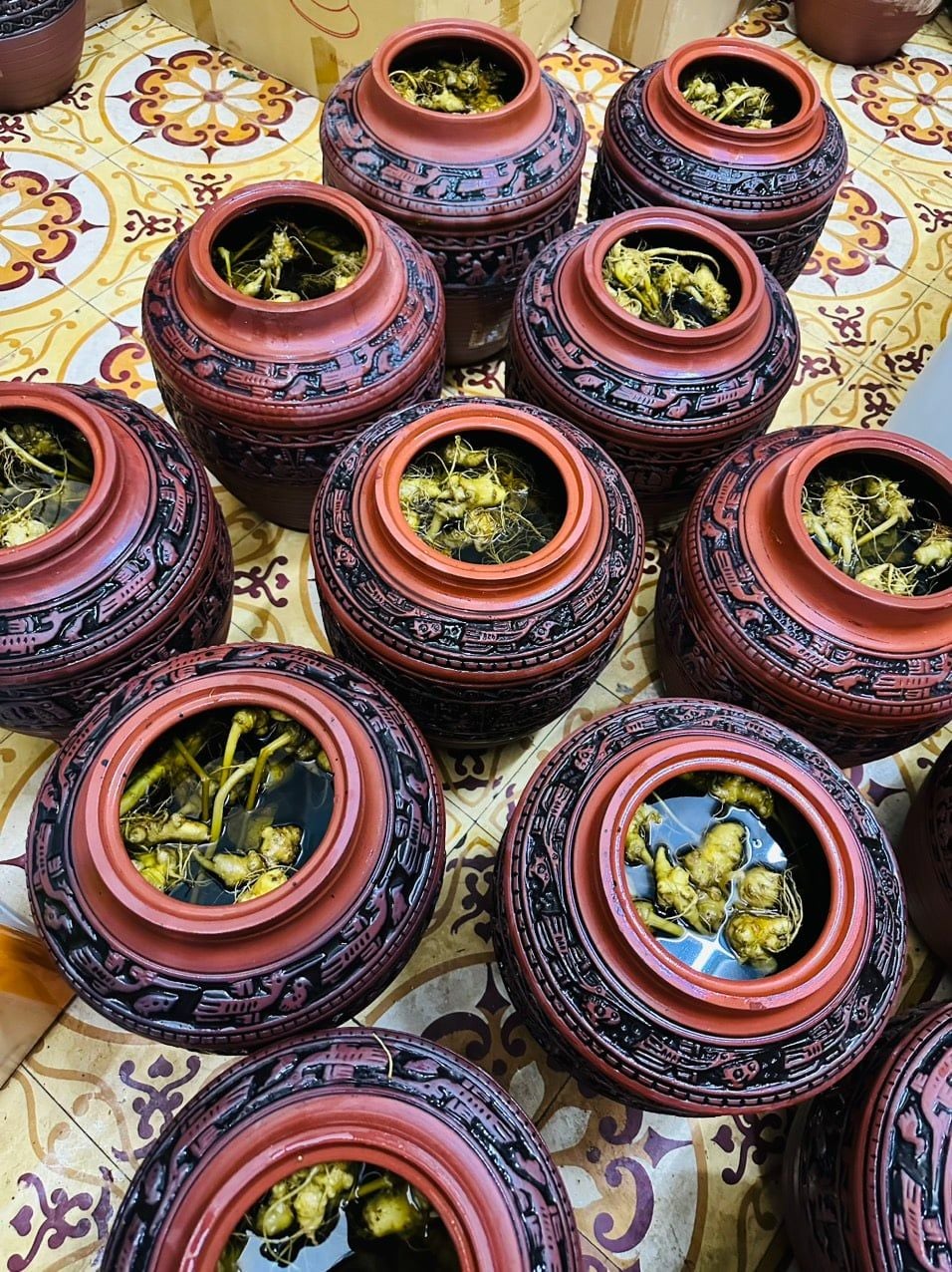  CHUM RƯỢU SÂM NGỌC LINH 