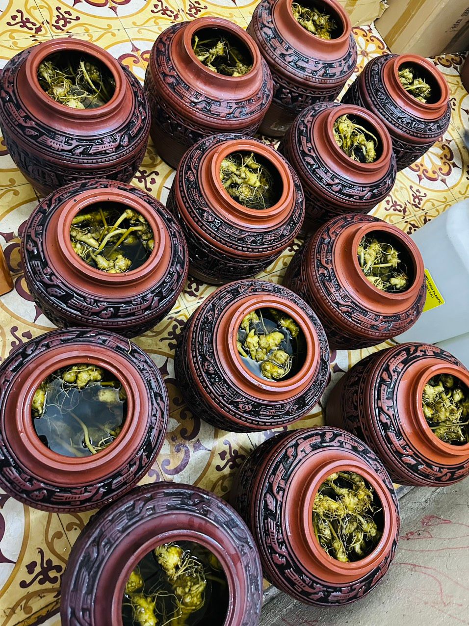  CHUM RƯỢU SÂM NGỌC LINH 