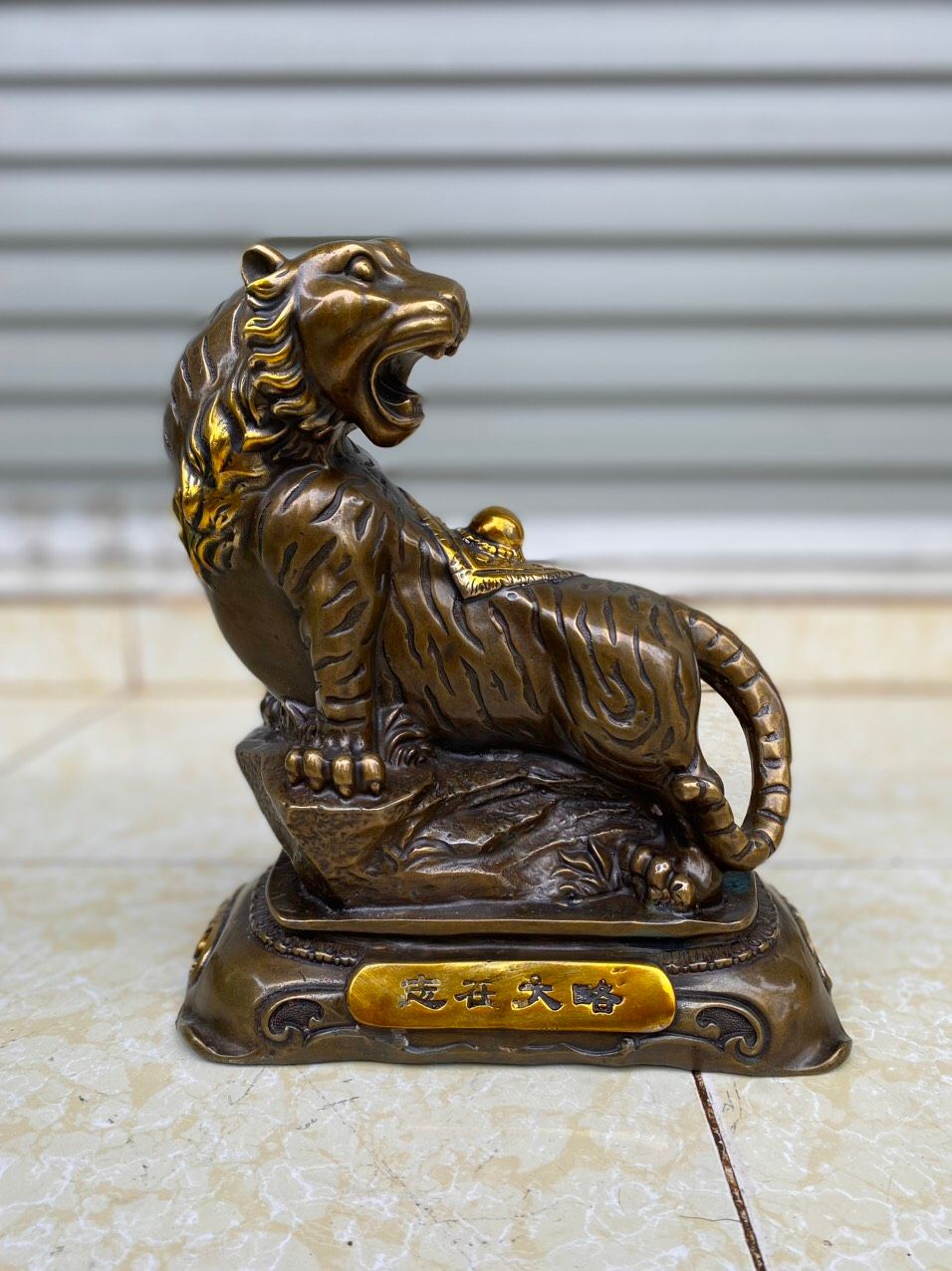  HỔ  ĐỨNG  NÚI  KIM  TÀI 