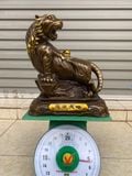  HỔ  ĐỨNG  NÚI  KIM  TÀI 