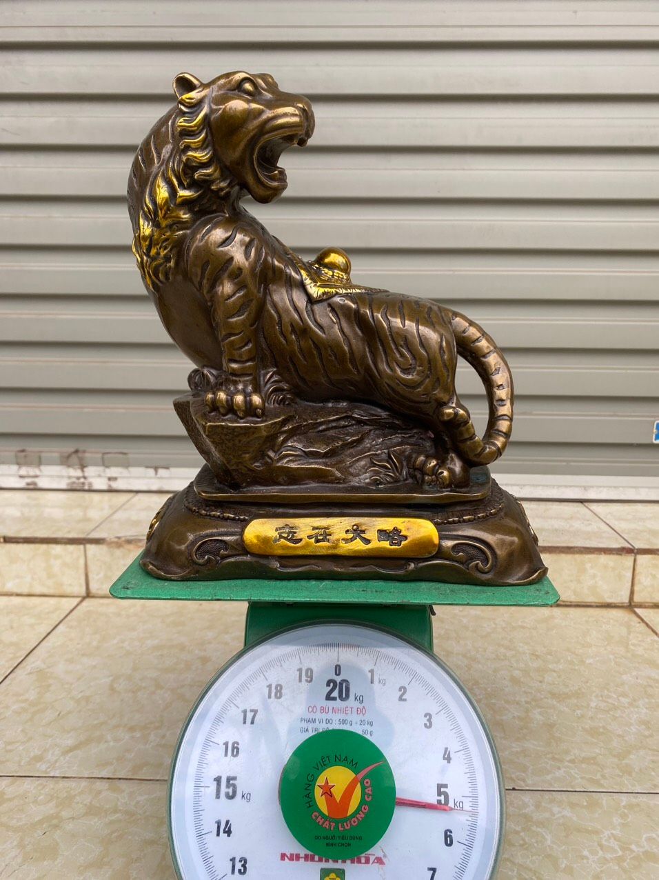  HỔ  ĐỨNG  NÚI  KIM  TÀI 