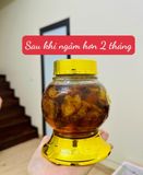  SÂM NGỌC LINH NGÂM MẬT ONG RỪNG 