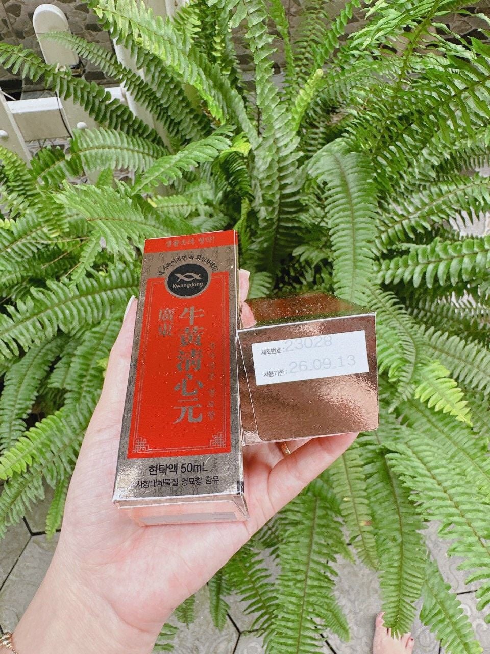  AN CUNG KWANGDONG DẠNG NƯỚC 